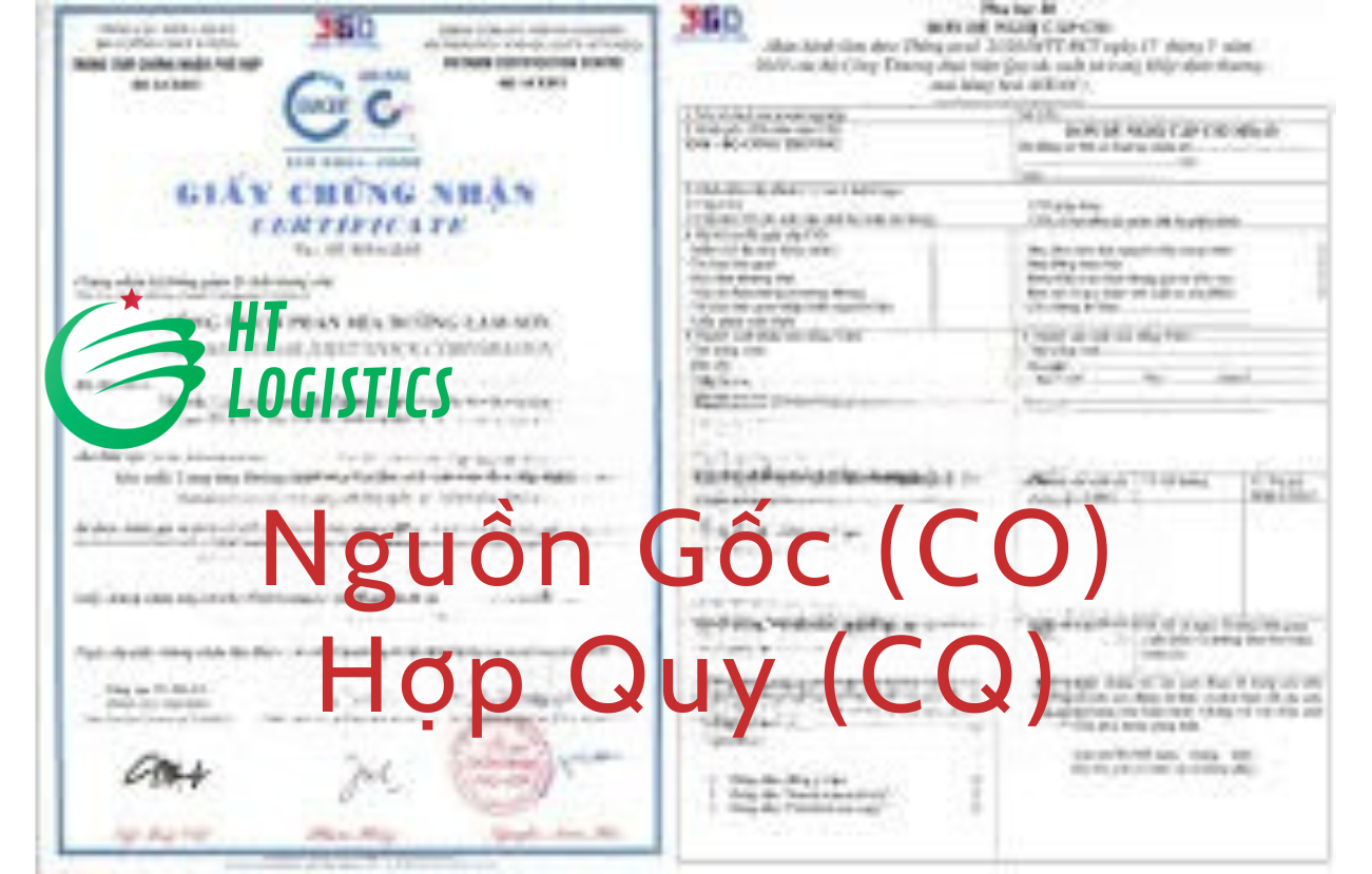 Hình ảnh hoạt động 4